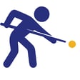 Pool & Snooker 