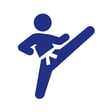Taekwondo Icon