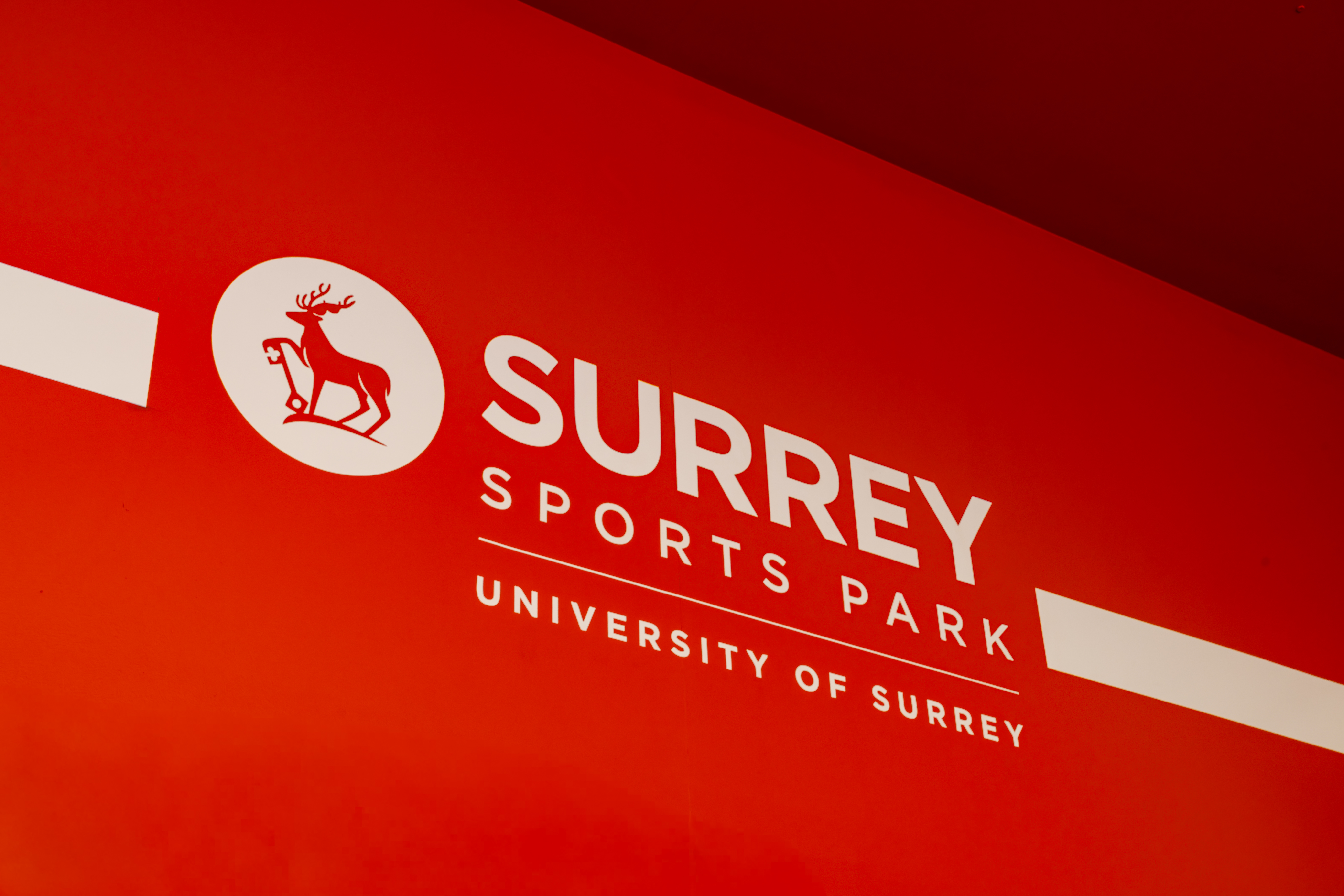 Surrey Sports Park Gym Refurbishment