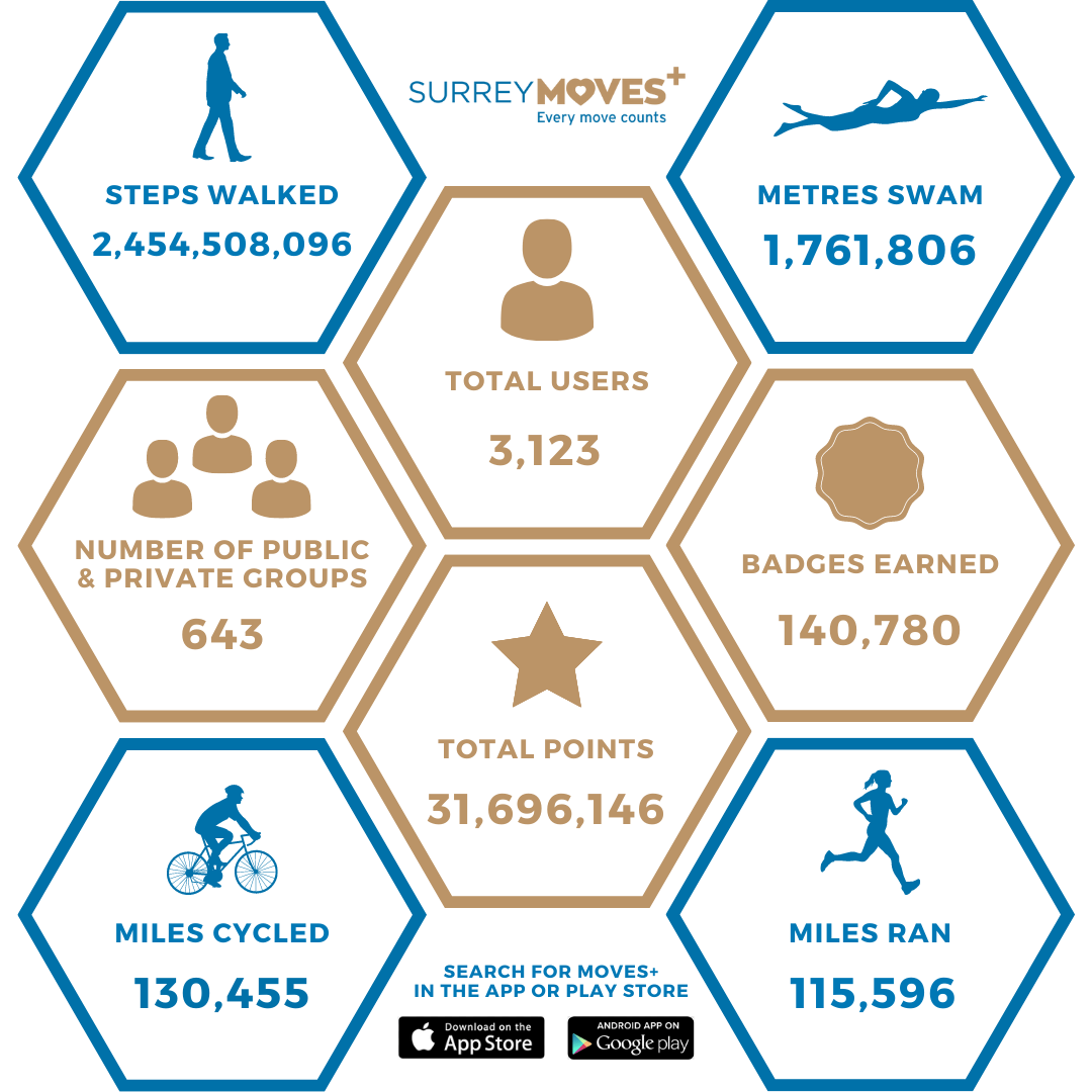 SurreyMoves Stats Matrix
  